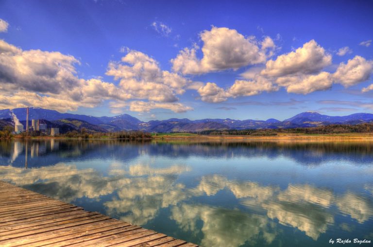 MONITORING RIB NA OBMOČJU VELENJSKEGA JEZERA