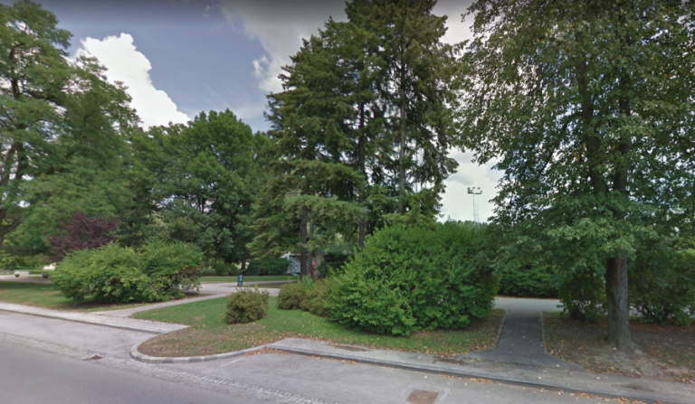 Velenjčani jezni, ker izginja zelenje; Šoštanjčani pa, ker je bila maškarada menda predraga?