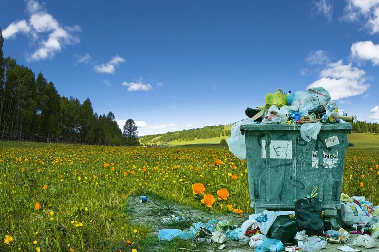 Neurja in sežigalnica  plastičnih odpadkov v TEŠ – nas mora biti strah?