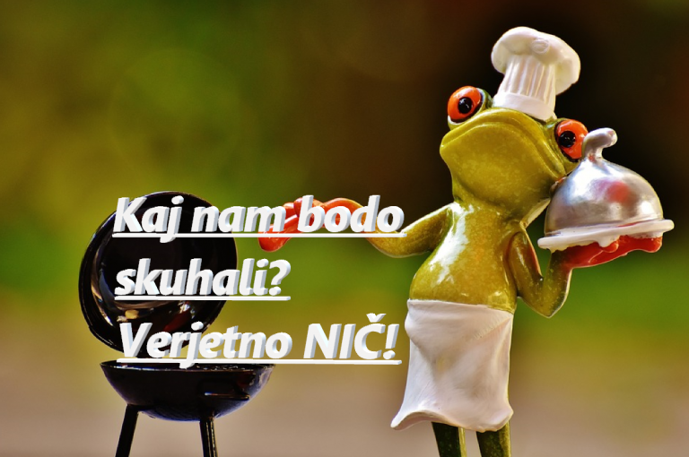 Kako lahko deluje manjšinska vlada?