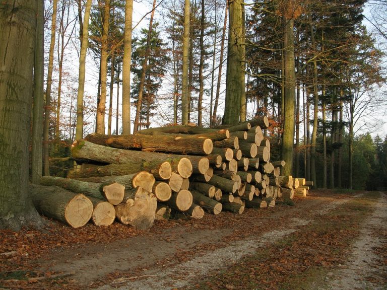 Nesreča pri delu – Prednikov vrh