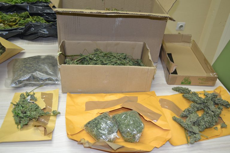 43-letniku z območja Policijske postaje Slovenj Gradec zasegli približno kilogram posušene konoplje