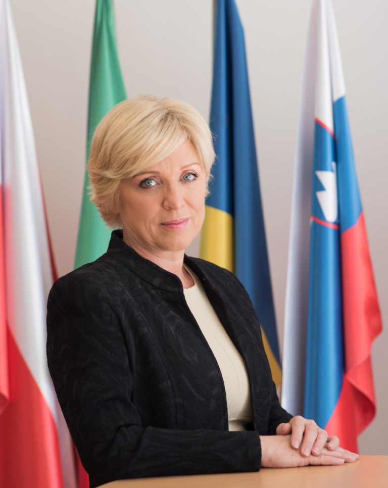 Romana Tomc: Komentar na poročilo Evropske komisije. Kje so reforme?