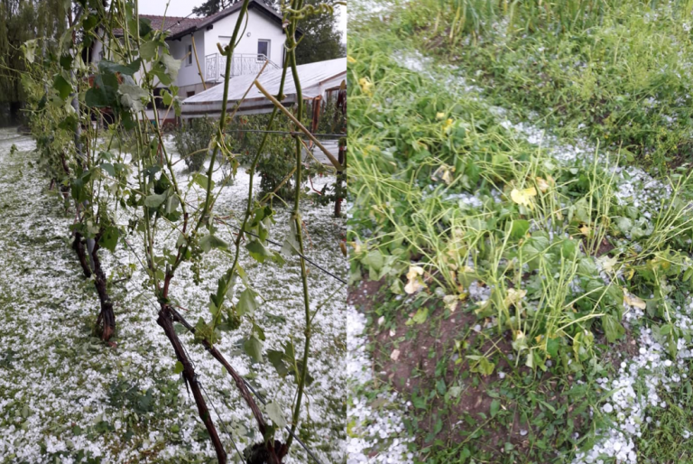 Mozirju že pomagali – zdaj gredo na Ptuj!