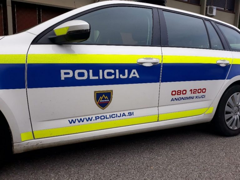 Razgrajal pred trgovino na Ljubljanski cesti in napadel varnostnika