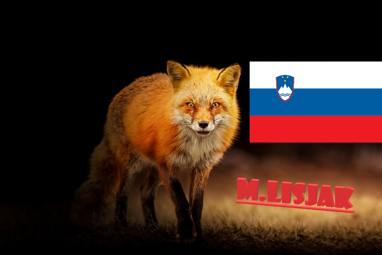 V Sloveniji se dogaja nekaj nenavadnega – poslanka SNS prestopila v stranko SDS!