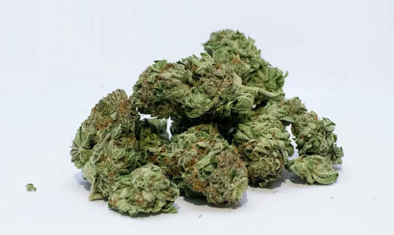 Velenjski policisti zasegli kilogram konoplje