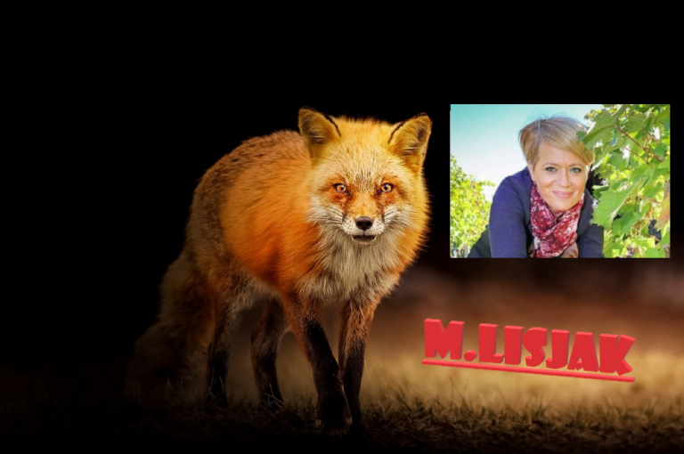 Tudi stranka DeSUS ima dovolj manipulacij medijev – oglasili so se s pismom!