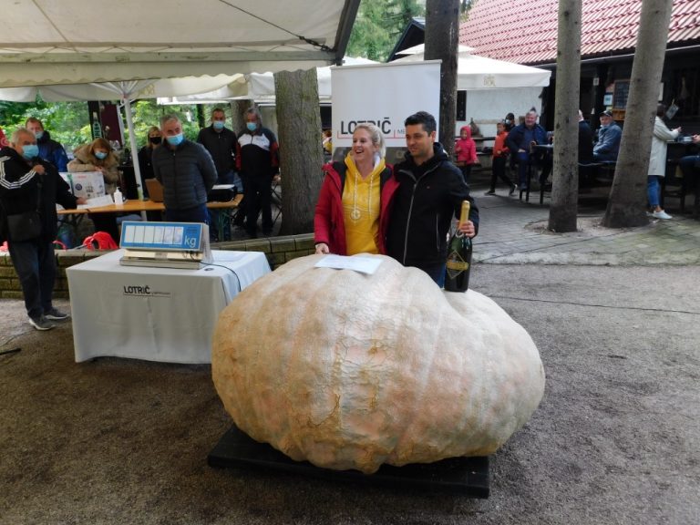 Dosegli smo nov rekord Mozirskega gaja. Najtežja buča je tehtala 713 kg!