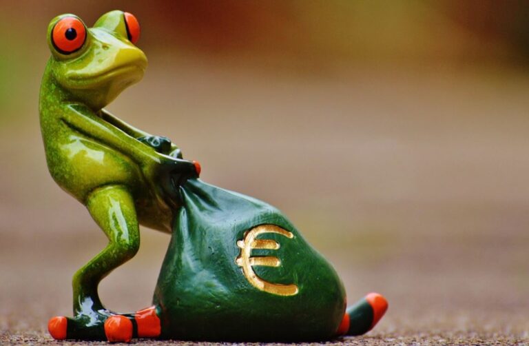 Referendum je bil  v resnici finančno izčrpavanje strank?