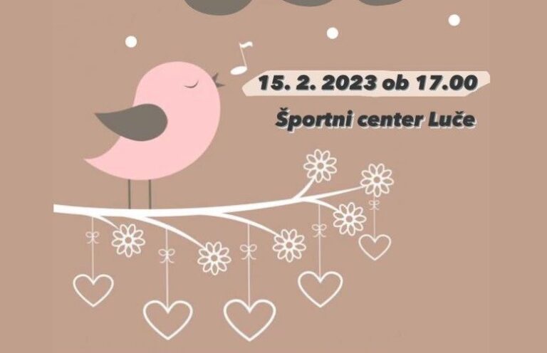 DOGODEK: Dobrodelni koncert za šolski sklad