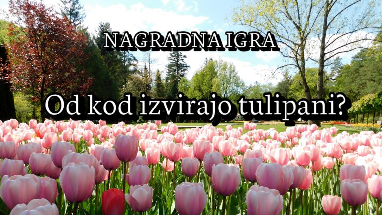 OSVOJITE VSTOPNICO ZA MOZIRSKI GAJ!