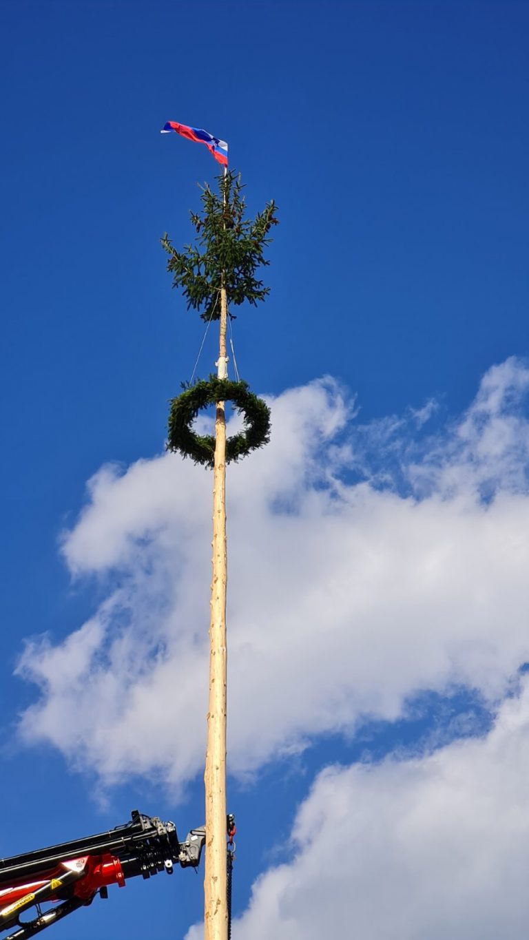 DOGODEK: V PONEDELJEK BODO NA TITOVEM TRGU POSTAVILI MLAJ