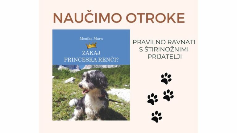 Naučimo otroke, kako razumeti in pravilno ravnati s štirinožnimi prijatelji